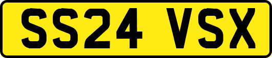 SS24VSX