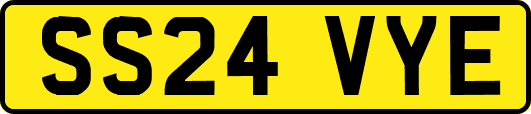 SS24VYE