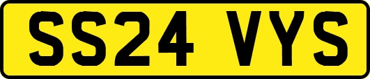 SS24VYS