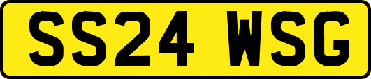 SS24WSG