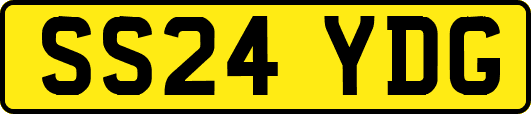 SS24YDG