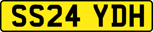 SS24YDH