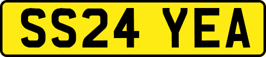SS24YEA