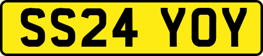 SS24YOY