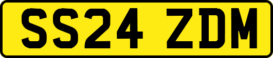 SS24ZDM