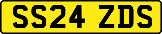 SS24ZDS