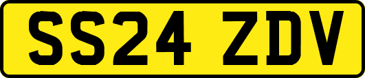 SS24ZDV
