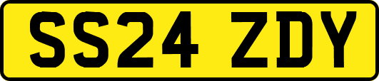 SS24ZDY