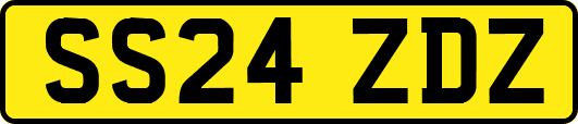 SS24ZDZ