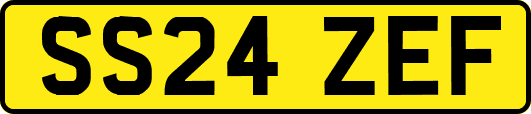 SS24ZEF