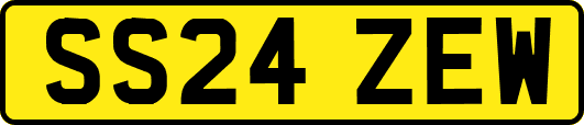 SS24ZEW