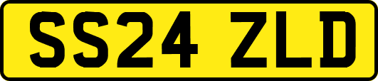 SS24ZLD