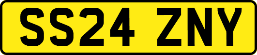 SS24ZNY