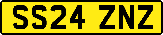 SS24ZNZ