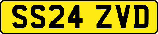 SS24ZVD