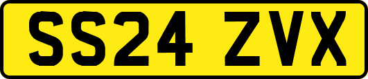SS24ZVX