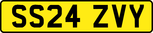 SS24ZVY