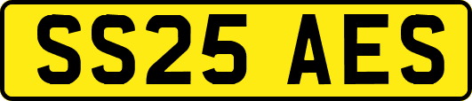 SS25AES