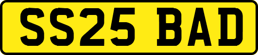 SS25BAD