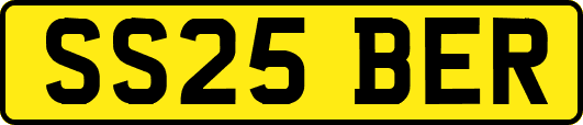 SS25BER