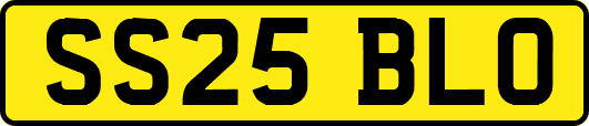 SS25BLO