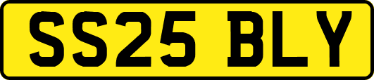 SS25BLY