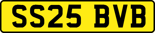 SS25BVB