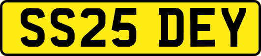 SS25DEY