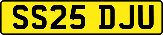 SS25DJU