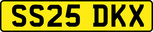 SS25DKX