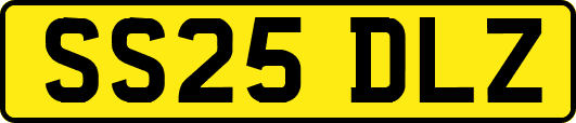 SS25DLZ
