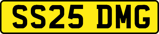 SS25DMG