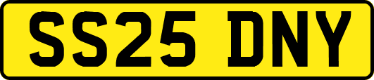 SS25DNY