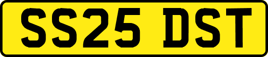 SS25DST