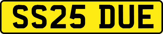 SS25DUE