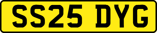 SS25DYG