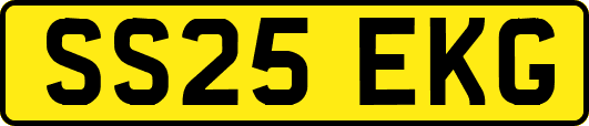 SS25EKG