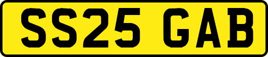 SS25GAB
