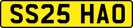 SS25HAO