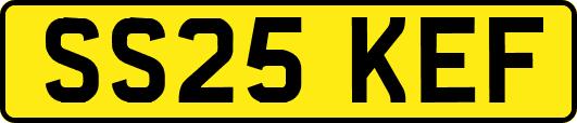 SS25KEF