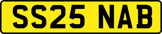 SS25NAB