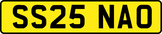 SS25NAO