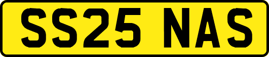 SS25NAS