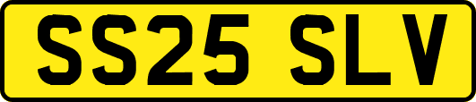 SS25SLV