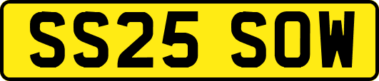 SS25SOW