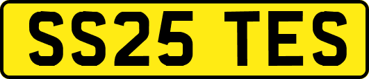 SS25TES