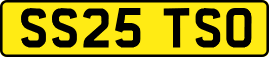 SS25TSO