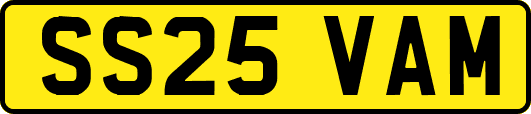 SS25VAM