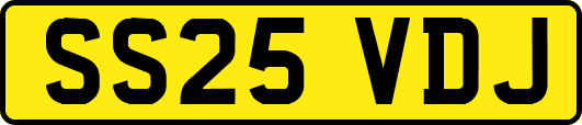 SS25VDJ