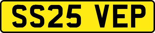 SS25VEP